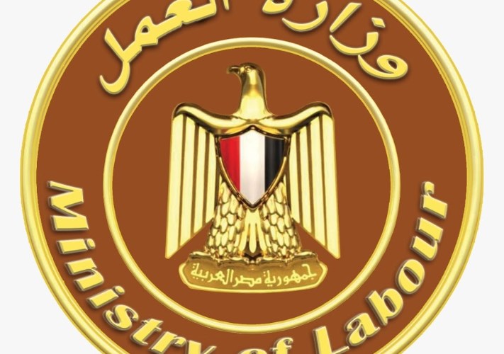 «العمل» تخطط لدعم المشروعات الصغيرة وريادة الأعمال -جريدة المال