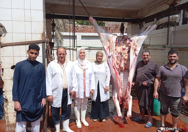 المجازر الحكومية 