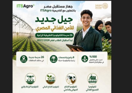 منظومة التعليم الفني