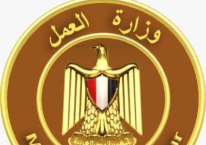 وزارة العمل 