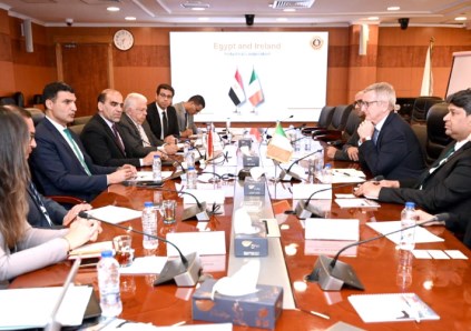 وزير الصناعة 
