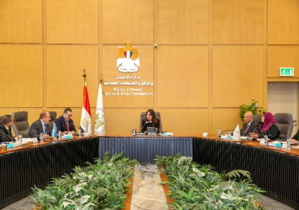 المهندسة راندة المنشاوي 