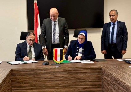 المصرية لنقل الكهرباء