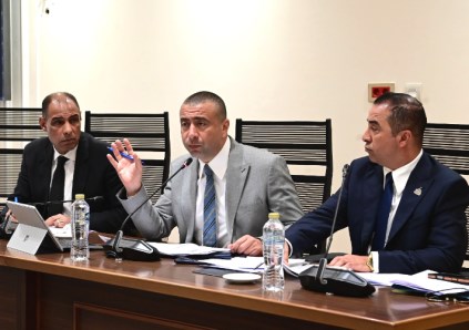 صناعة النواب 