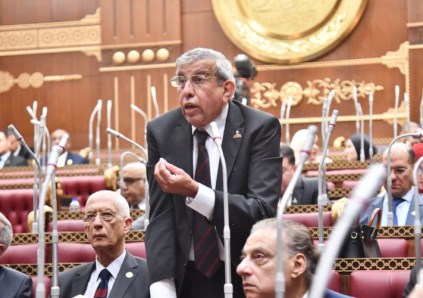 النائب علاء عبد النبي 