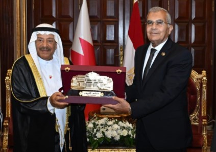 جانب من اللقاء 