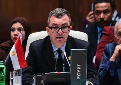 وزير التخطيط