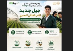 منظومة التعليم الفني