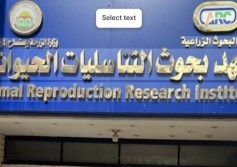 معهد بحوث التناسليات الحيوانية 
