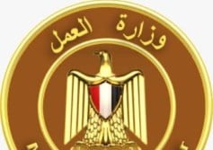 وزارة العمل 