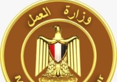 وزارة العمل 