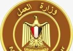 وزارة العمل 