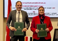 المصرية لنقل الكهرباء