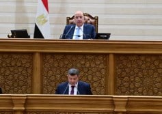 مجلس النواب