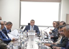 صناعة النواب 