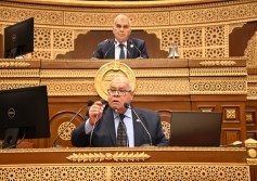 مجلس الشيوخ