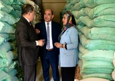 تموين القاهرة
