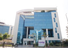 شركة pulse by solutions
