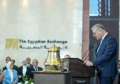 وزير البترول والثروة المعدنية 