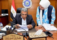 محافظ الدقهلية 