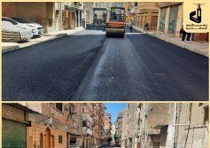 محافظة الاسكندرية 