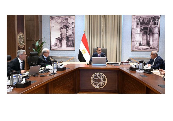 رئيس الوزراء يستعرض خطة تطوير أداء «القابضة للأدوية» والشركات التابعة لها