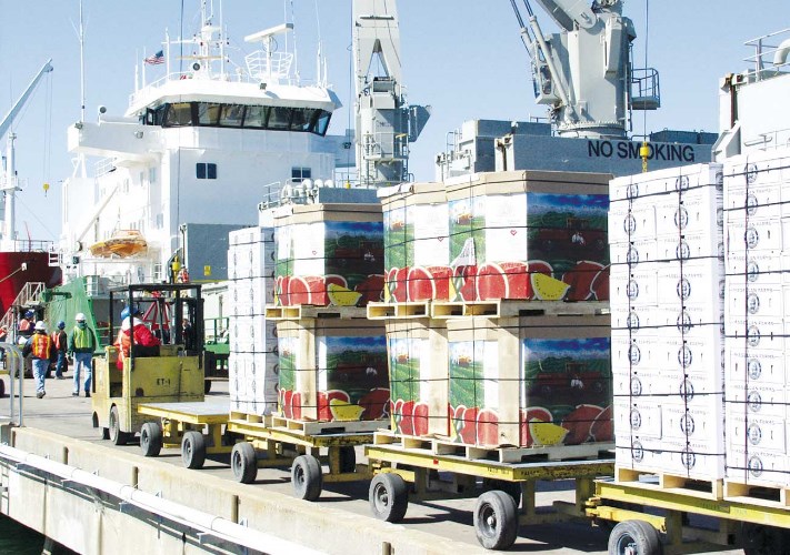 خبراء: بضائع الترانزيت في الموانئ تحقق طفرة.. لكن الطريق ما يزال طويلاً