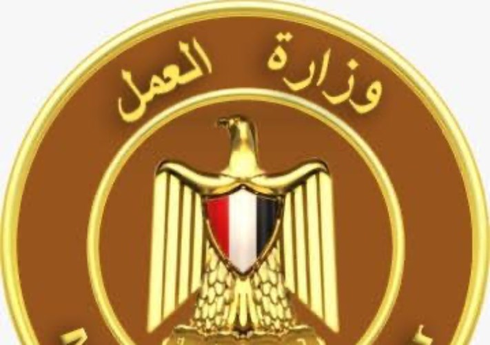 وزارة العمل 