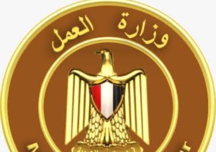 تعرف على خطوات وإجراءات التقديم في خدمة التدرج المهني بوزارة العمل