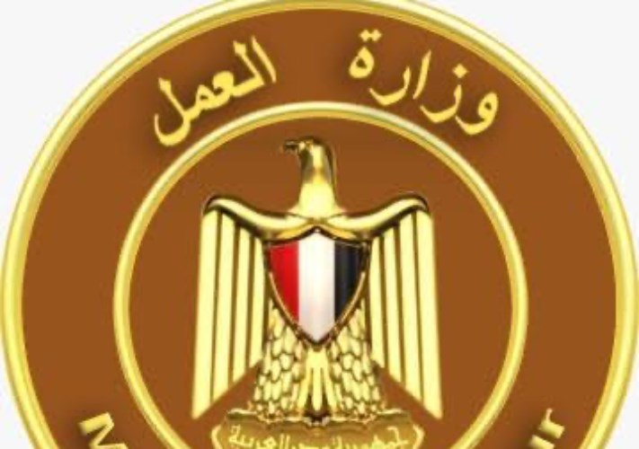 وزارة العمل 