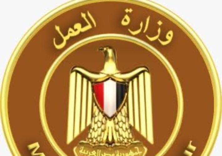 وزارة العمل 