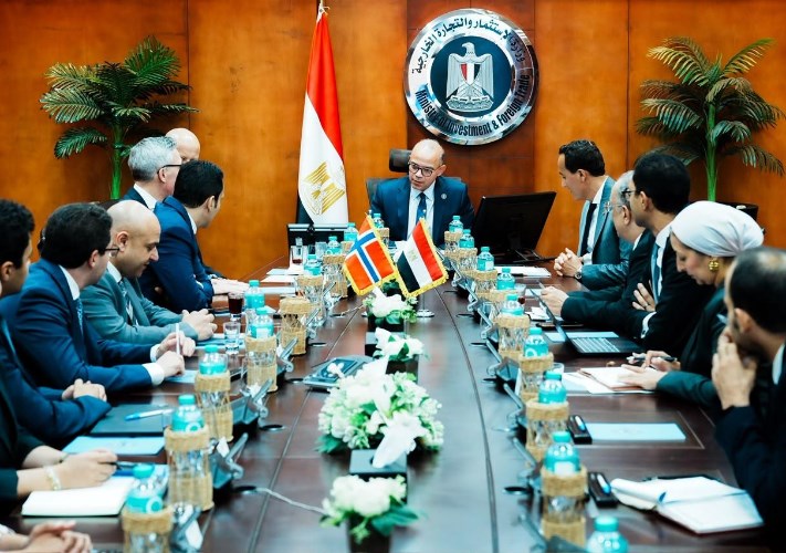 وزارة الاستثمار 