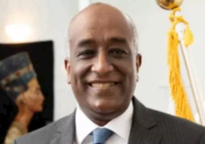  السفير محمد أبو بكر، نائب وزير الخارجية للشؤون الأفريقية