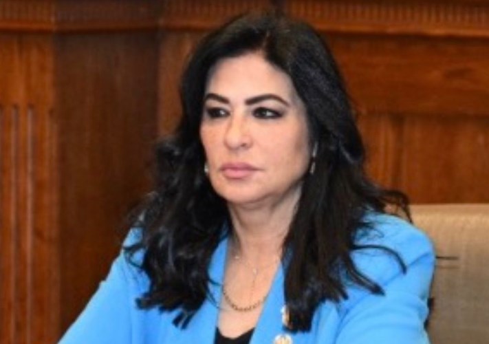 النائبة هالة كيره