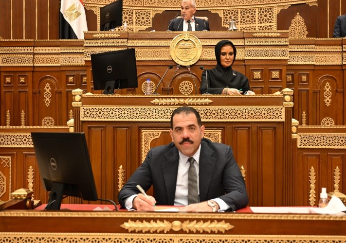مجلس الشيوخ