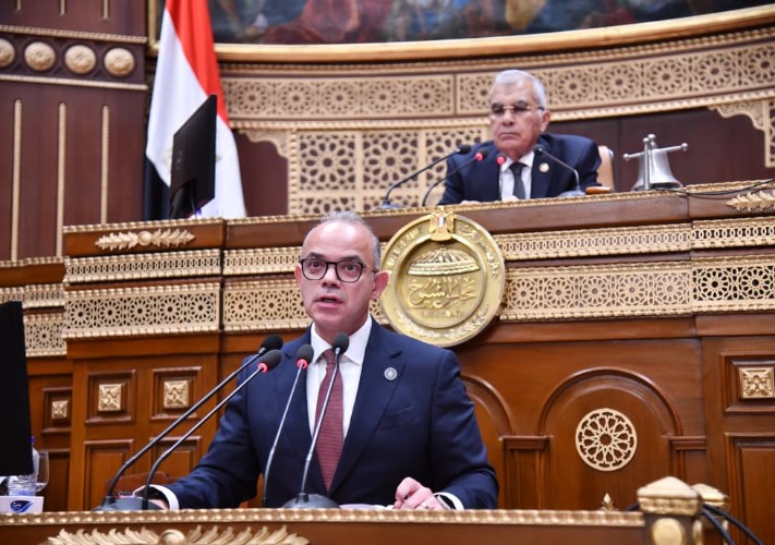 وزير الاستثمار: تشكيل لجنة داخل الوزارة لدراسة إعداد مشروع قانون جديد للشركات