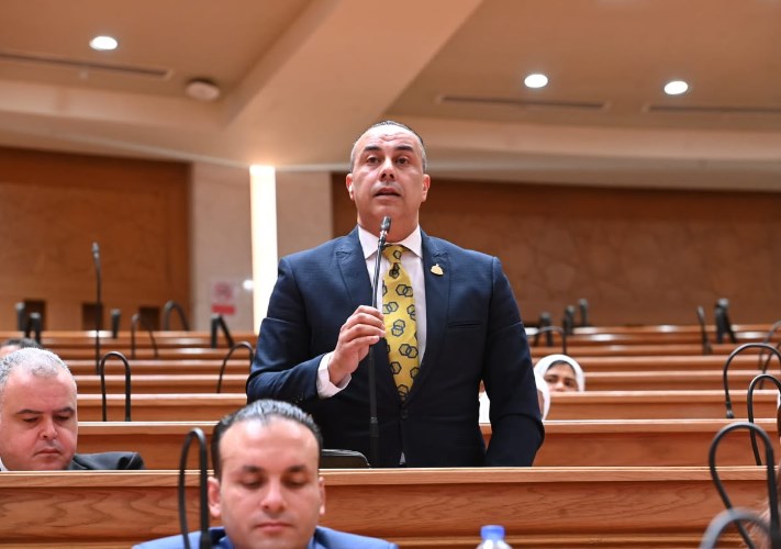 النائب محمد بلتاجي عضو مجلس النواب 