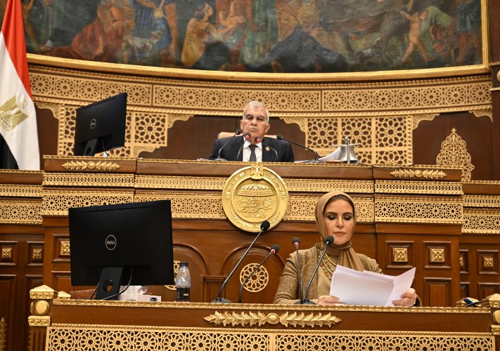 مجلس الشيوخ