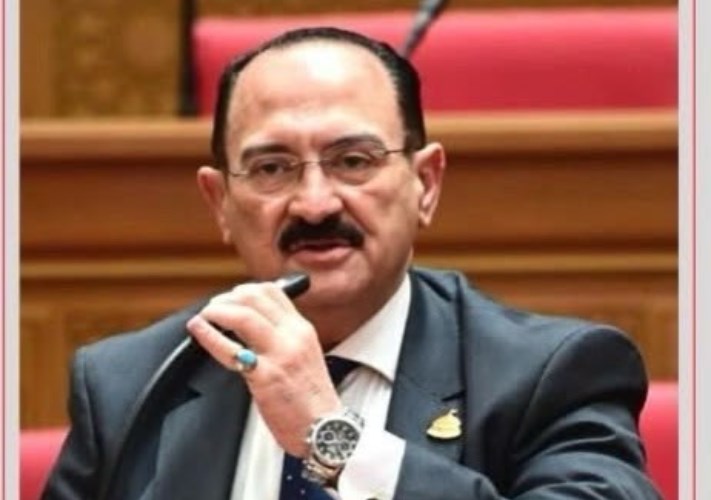 النائب هشام عبد الواحد