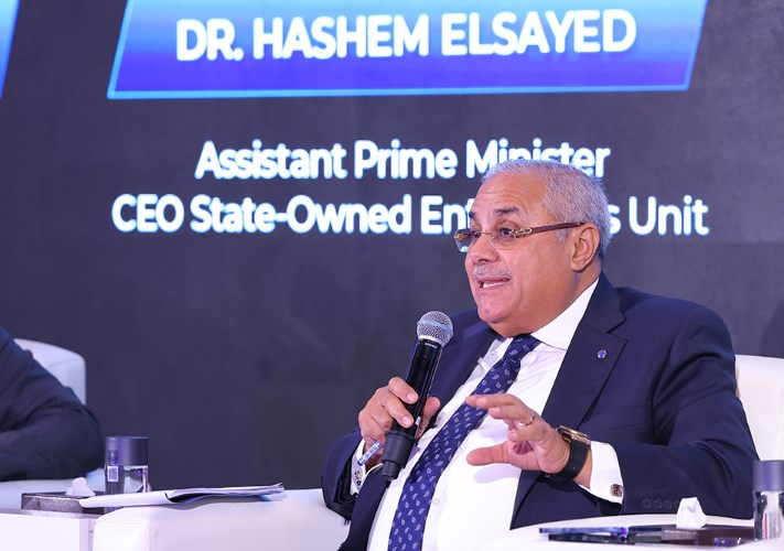 الدكتور هاشم السيد، مساعد رئيس مجلس الوزراء