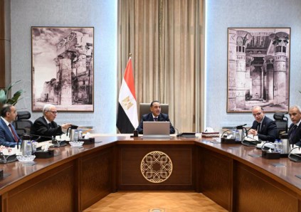 رئيس الوزراء يبحث الاستثمارات في سيناء 