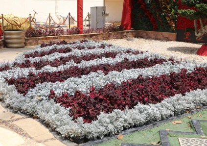 وزارة الزراعة 