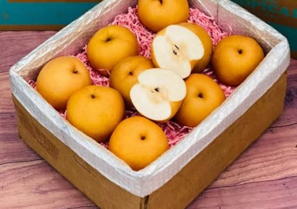 صادرات الكمثرى الكورية