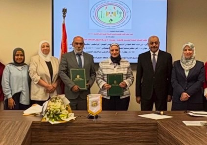 المصرية لنقل الكهرباء