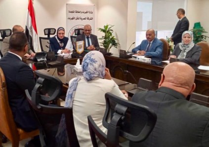 المصرية لنقل الكهرباء