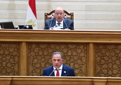 مجلس النواب