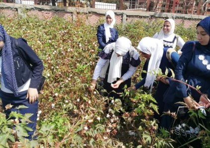 انطلاق الدراسة بـ26 مدرسة مصرية إيطالية للتكنولوجيا الزراعية لإعداد كوادر مؤهلة لسوق العمل