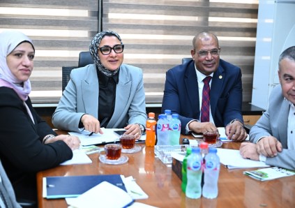 شراكة مصرية يابانية لتطوير إدارة المياه والأراضي ودعم استدامة واحات الصحراء الغربية