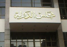مجلس الدولة