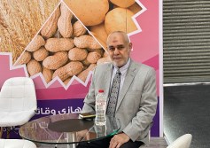 هشام العجماوي 